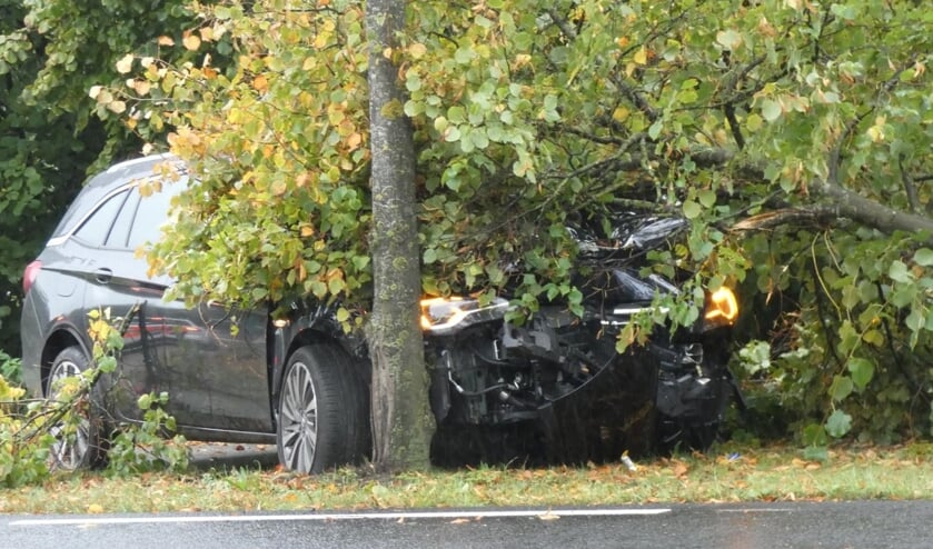 Auto rijdt boom uit de grond op John F. Kennedybaan. (Foto: Gabor Heeres / Foto Mallo)