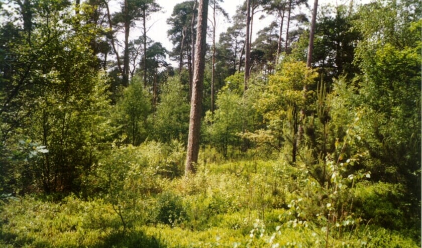 Natuur.