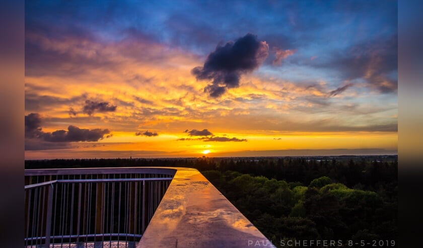 Foto van de week. Vanaf de uitkijktoren in Herperduin. (Paul Scheffers)