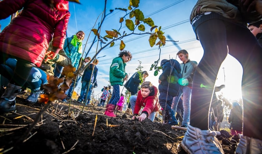 Leerlingen van Basisschool Sint Jozef in Lithoijen planten donderdag 14 november een Tiny Forest.