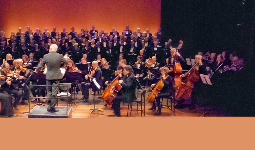 Een deel van de muzikanten op het podium.