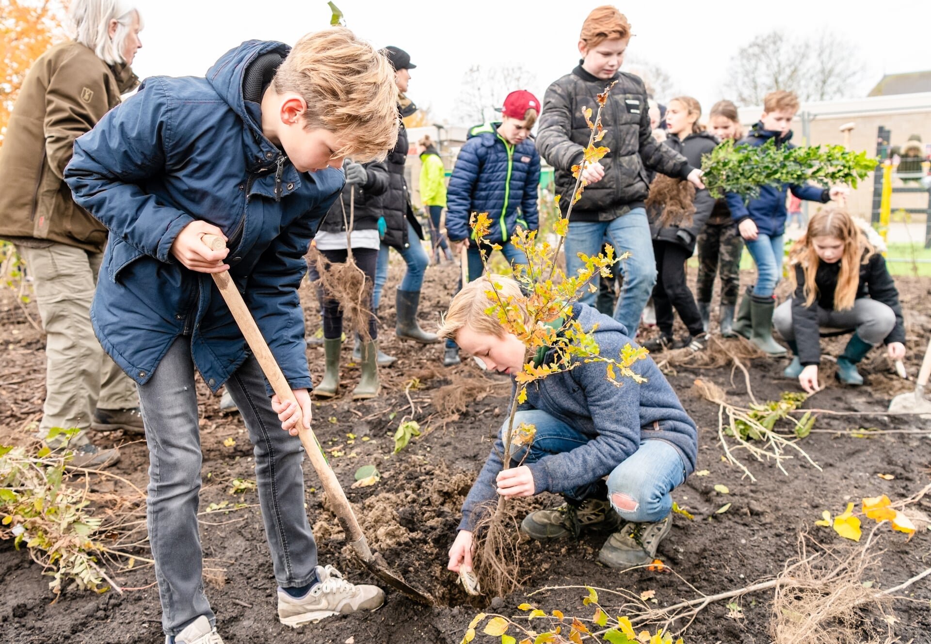 In 2019 werd een Tiny Forest aangelegd op het schoolplein in Lithoijen.