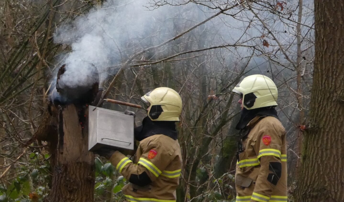 Brandweer opgeroepen voor brandende boomstronk. (Foto: Thomas)