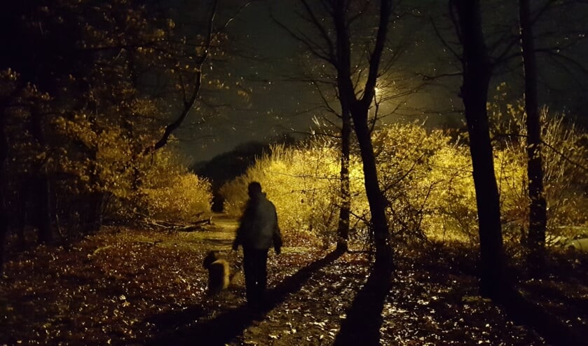 Foto van de week. Johan van de Logt.