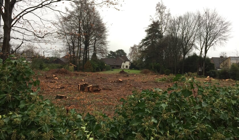 Nabij de Vlaamse Gaai in Boxmeer is onlangs een volledig bosje gekapt. Tot groot ongenoegen van aanwonenden.