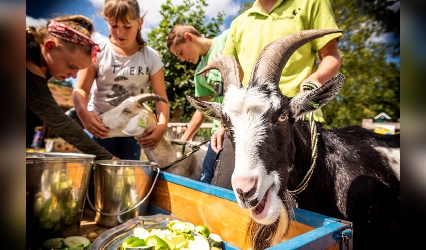 Kinderboerderijdag op NME-centrum en kinderboerderij De Elzenhoek. (Foto: Thomas Segers)