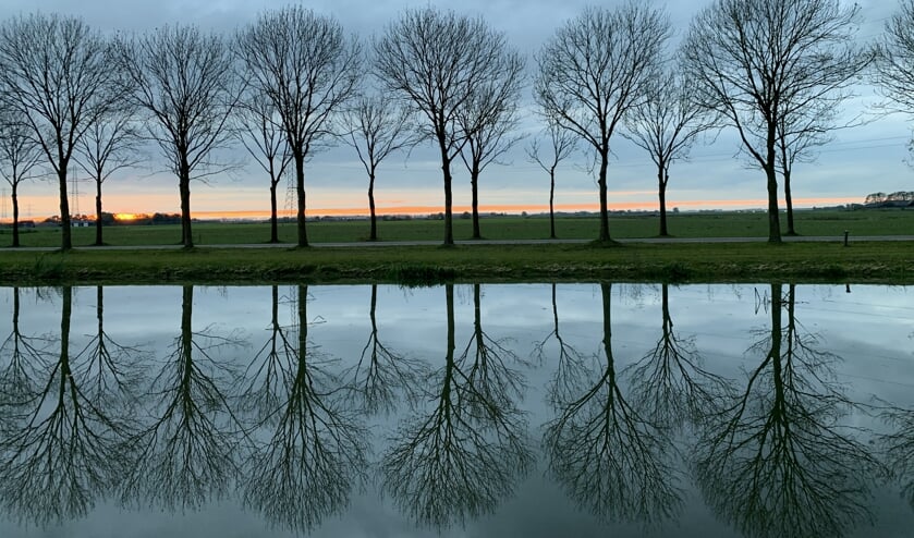Foto van de week. (Foto: José van den Elzen)