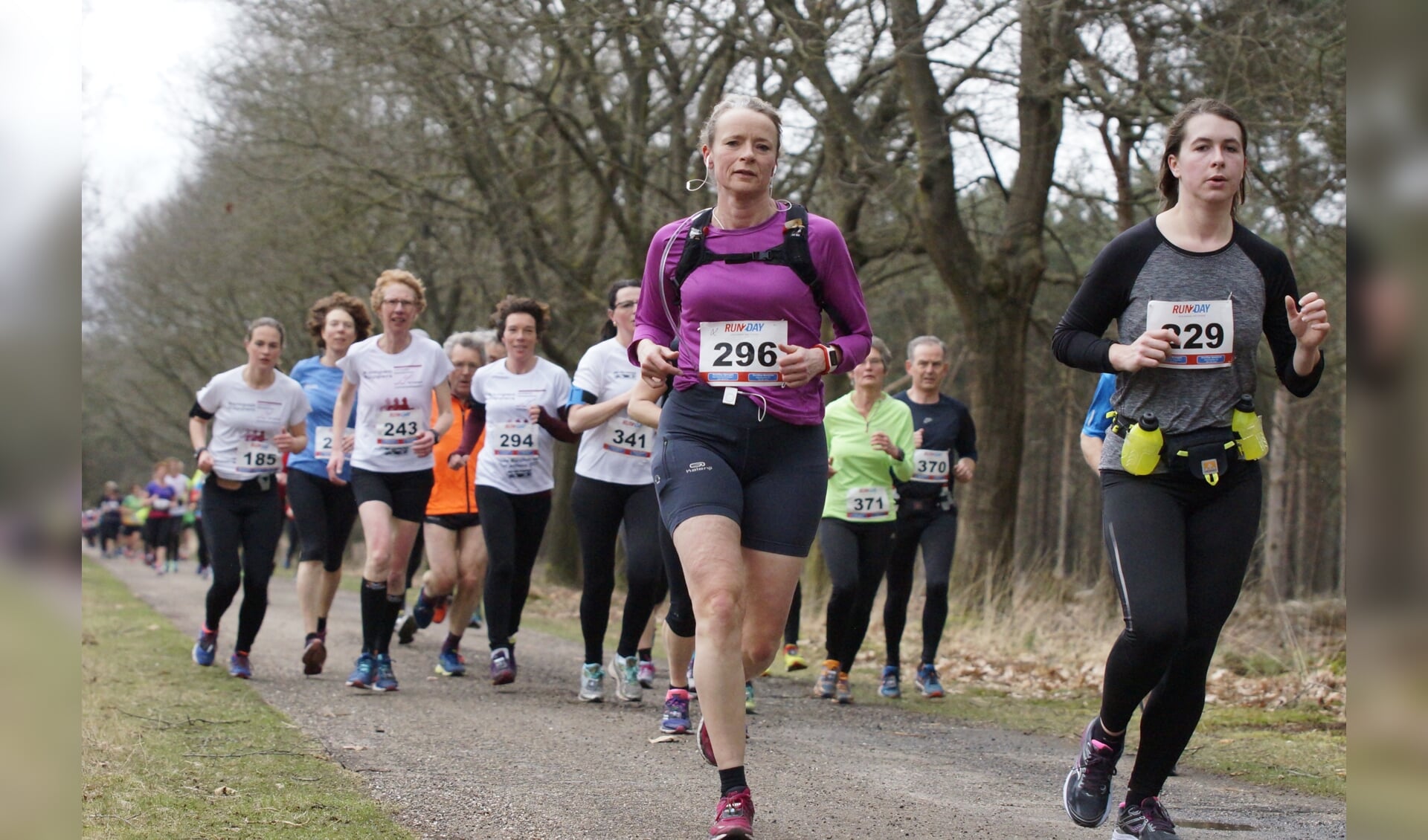 Op zaterdag 19 maart houdt AV Olympus weer de halve marathon in de Staatsbossen van Sint Anthonis.