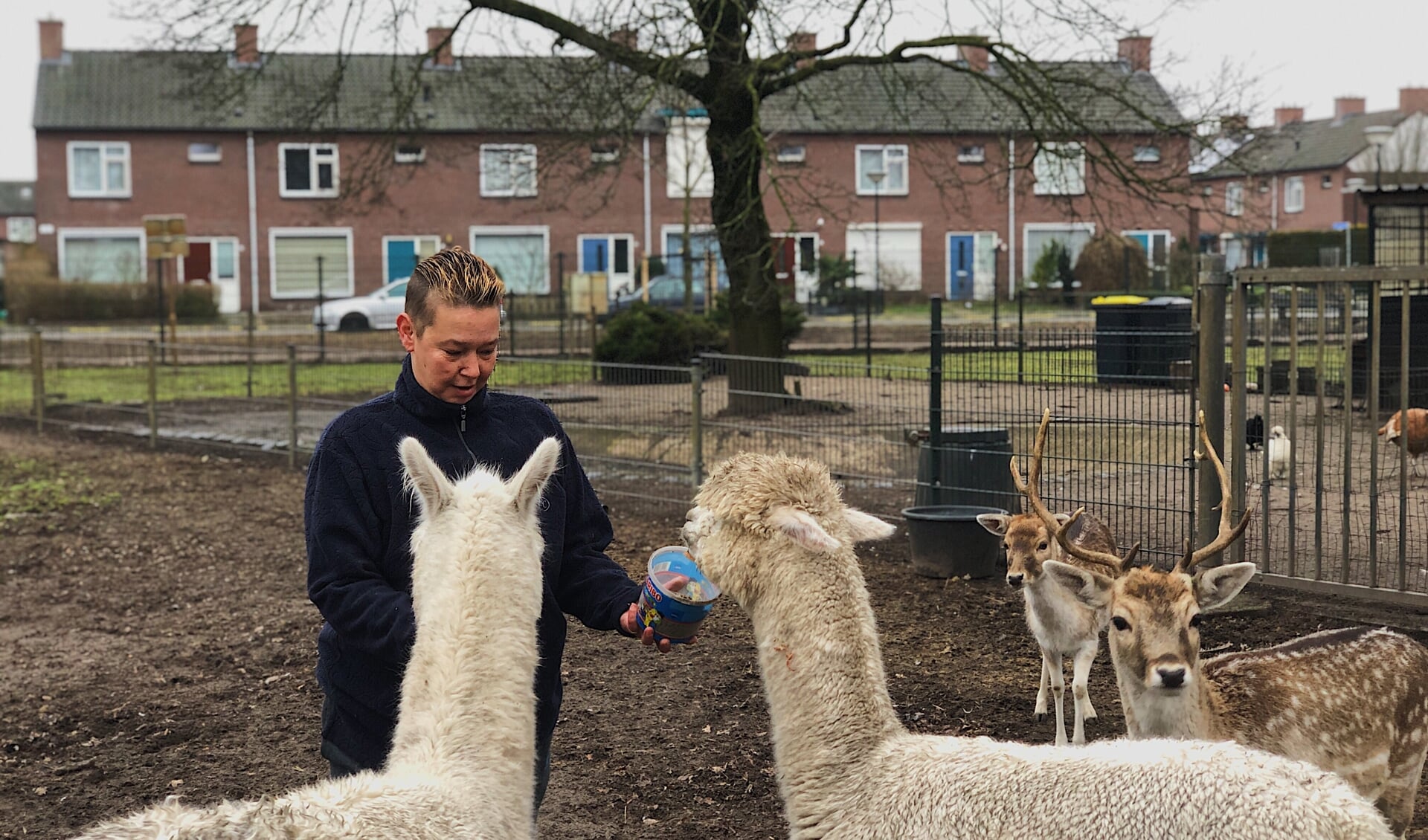 Jolanda Burger is de drijvende kracht achter het dierenparkje in Veghel-Zuid.