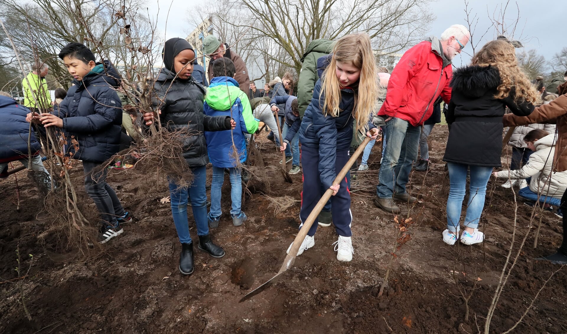 Basisschoolleerlingen planten eerste Tiny Forest in Oss. (Foto: Hans van der Poel)