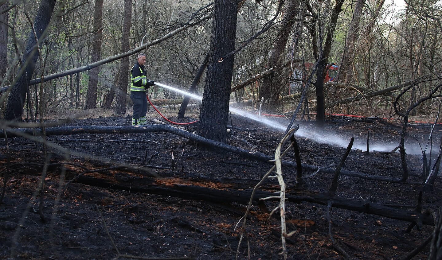 Flink stuk bos in brand in Geffense Bosjes. (Foto: Gabor Heeres / Foto Mallo)