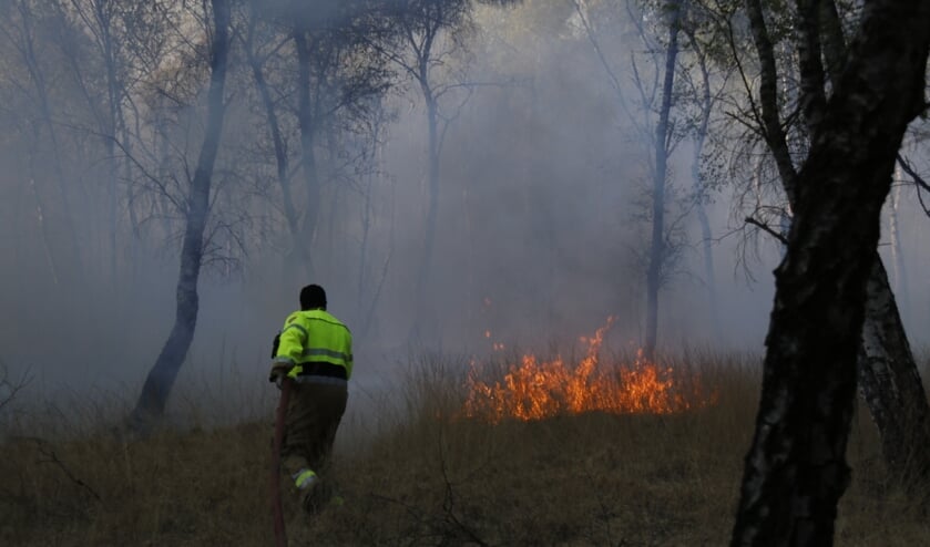 Foto: SK-Media.