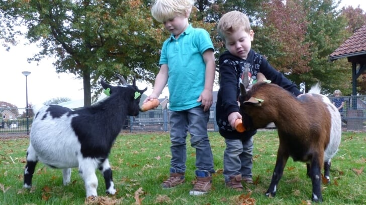 Kinderen knuffelen met dieren op Kinderboerderij De Beestenbergh.