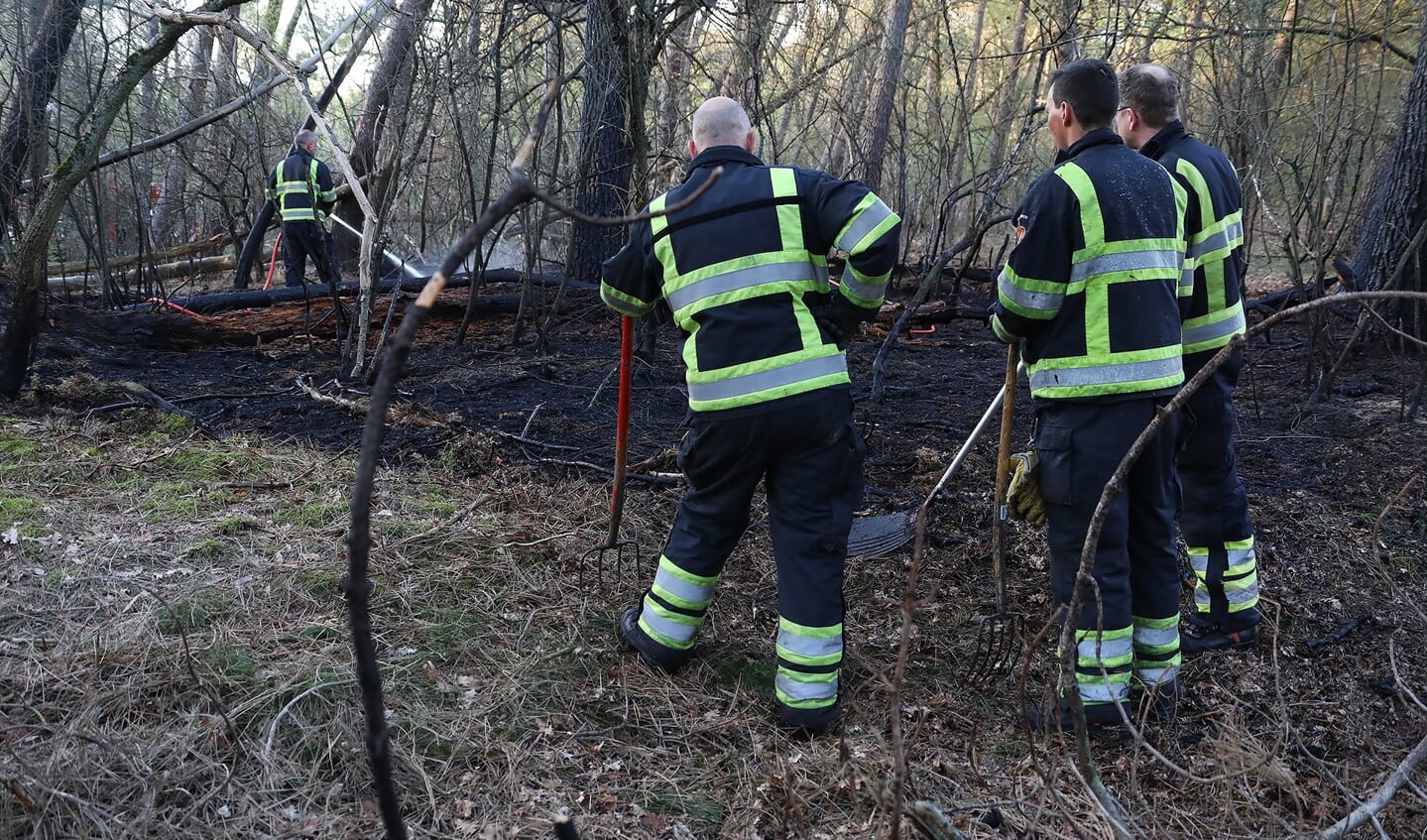 Flink stuk bos in brand in Geffense Bosjes. (Foto: Gabor Heeres / Foto Mallo)