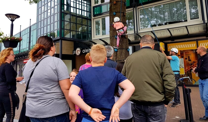 Boomklimmen in het Osse centrum. Foto: Twitter Jack van Lieshout