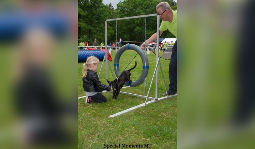 Demonstraties en activiteiten tijdens de 'Dag van de Hond'.