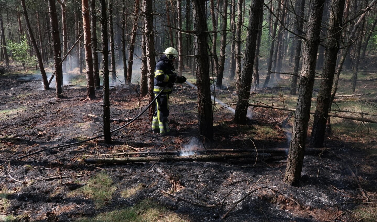 Brandweer blust bosbrand in Berghem. (Foto: Gabor Heeres / Foto Mallo)