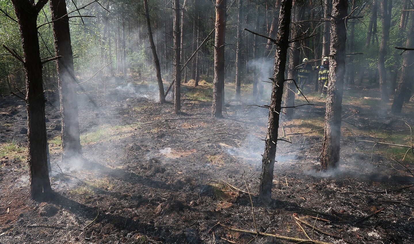 Brandweer blust bosbrand in Berghem. (Foto: Gabor Heeres / Foto Mallo)