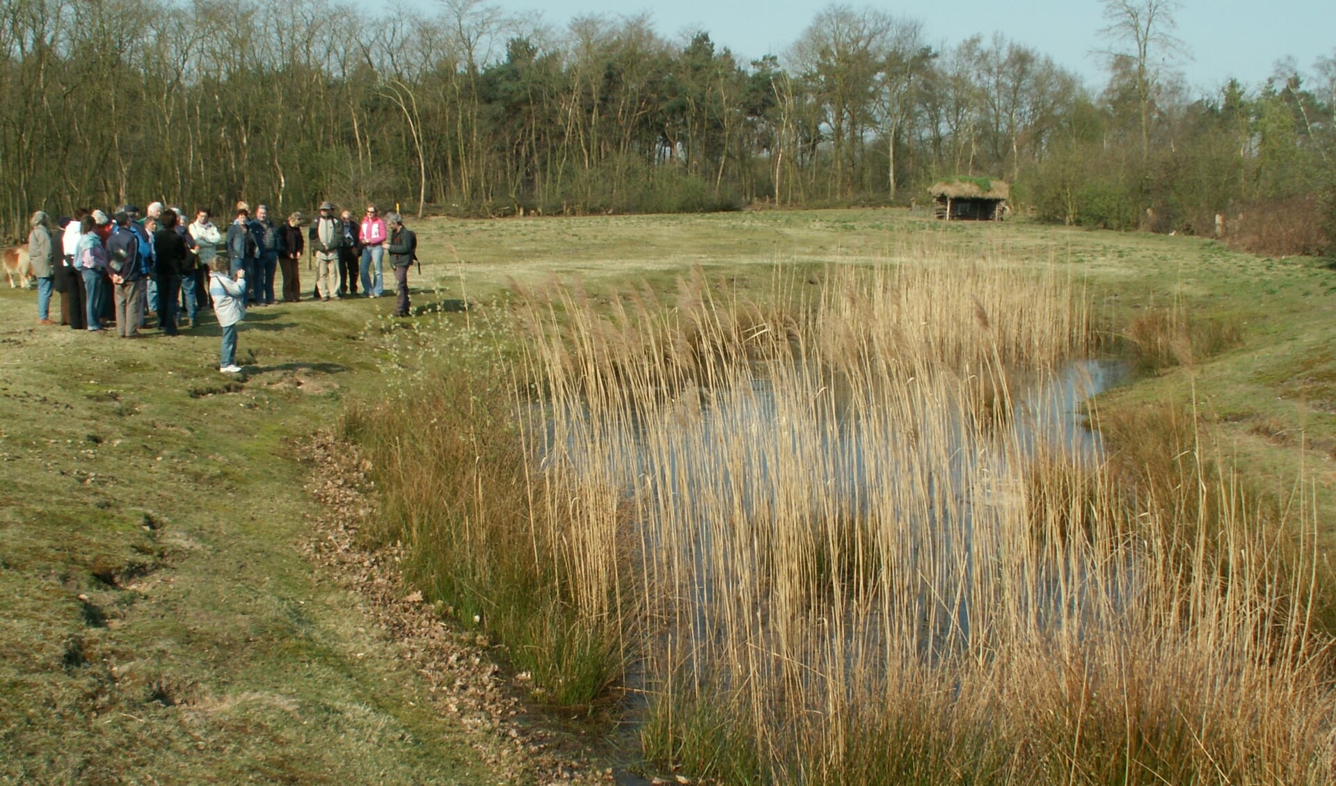 Archieffoto van de Stelt.