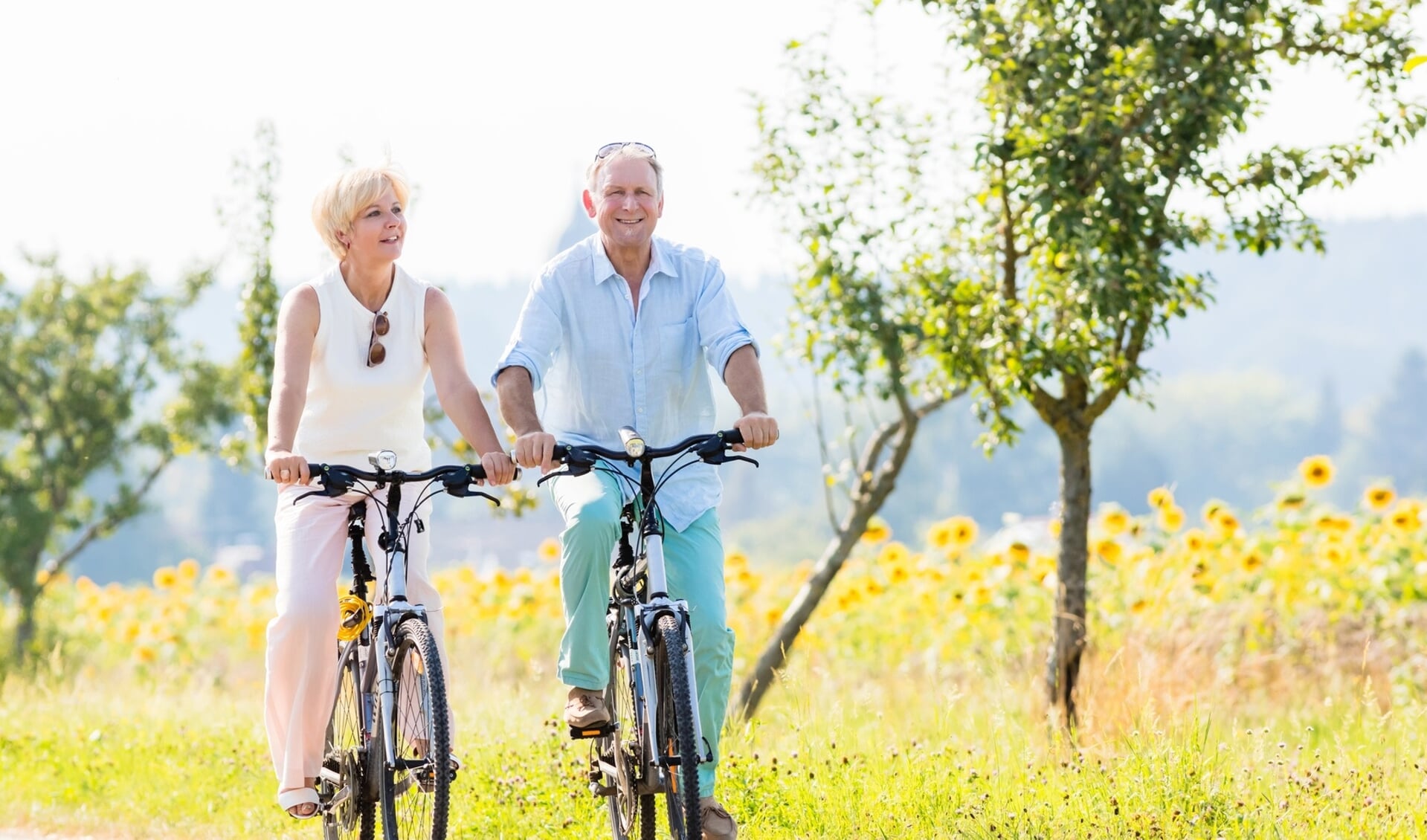 Senior couple, woman and man, riding their bikes along field of sunflowers