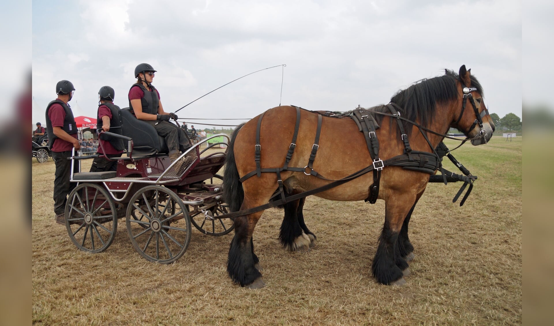 De Power Horse Competition is een spectaculair onderdeel van de Land van Cuijkse Paardendagen.