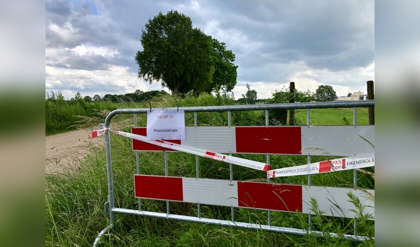 Waarschuwingsborden voor de processierups in Middelaar.
