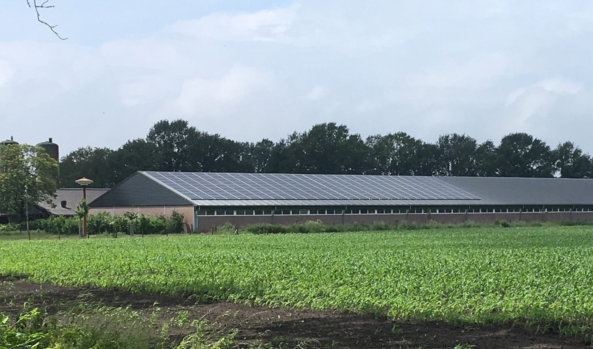 Op het dak van dit varkensbedrijf komen vele honderden zonnepanelen te liggen.