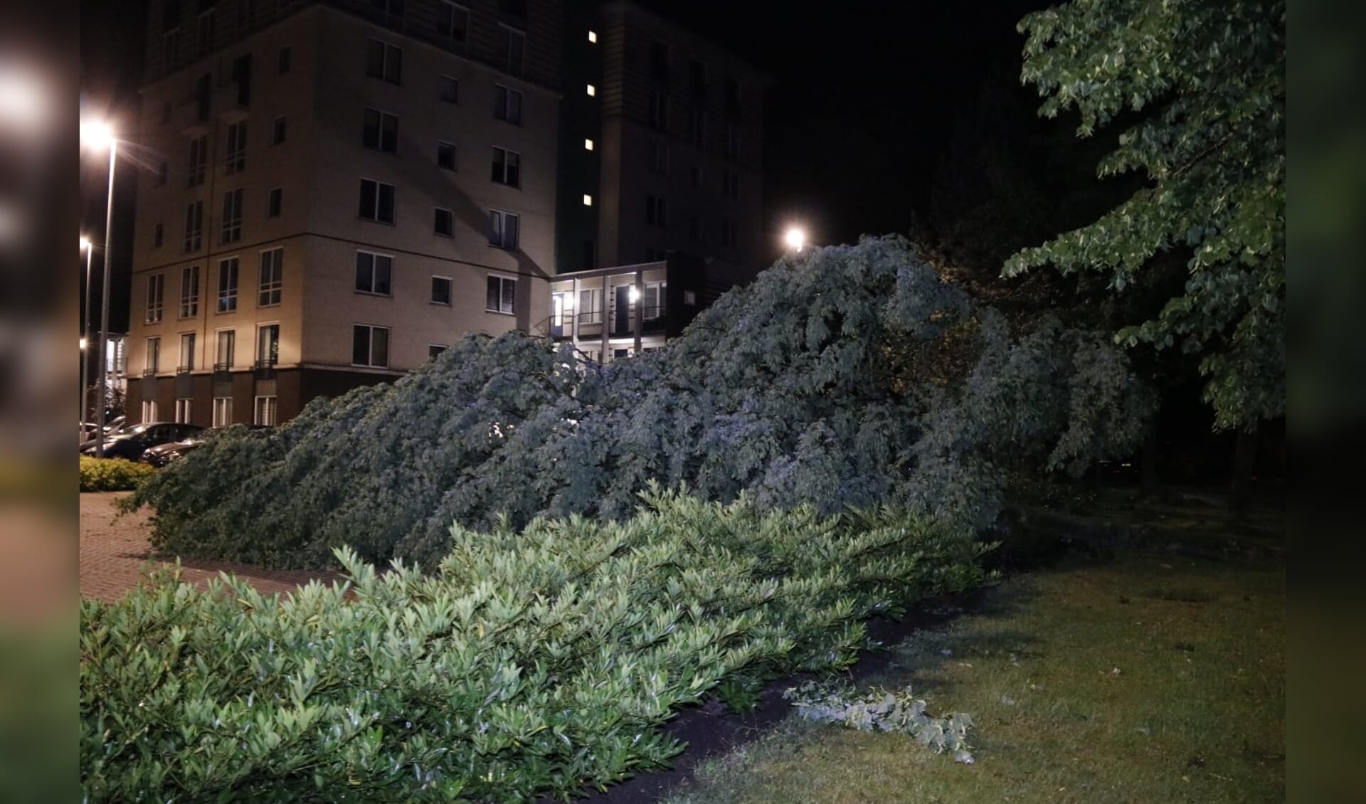 Op de parkeerplaats bij het Ketelhuis in Gennep viel een boom.