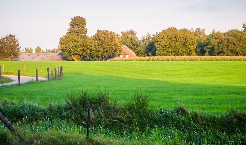 De Zandvoort, een natuurgebied tussen Escharen en Langenboom.