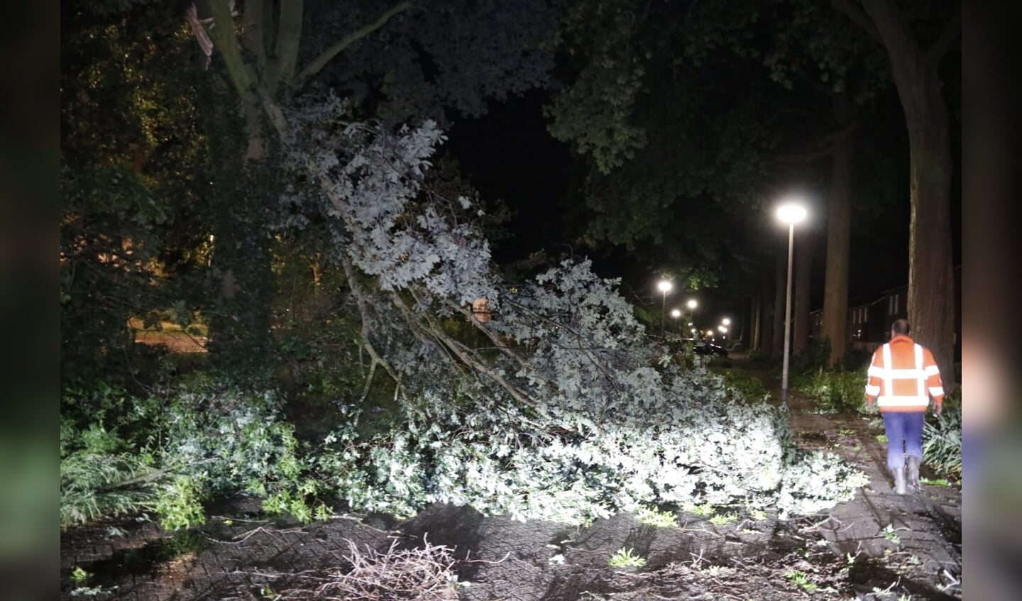 Aan de Groene Kruisstraat in Gennep brak een boom doormidden.