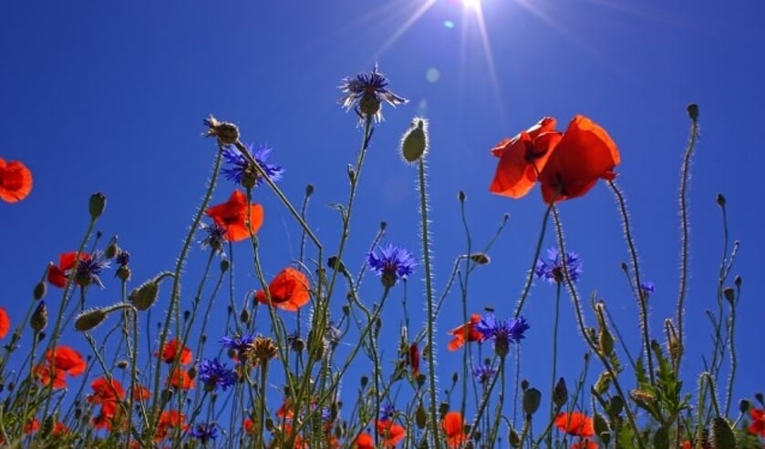 Het wordt bijzonder warm in onze regio.