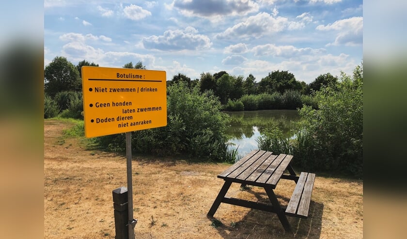 Waterschap Aa en Maas trof vorig jaar botulisme aan in de visvijver op Het Ven in Veghel.