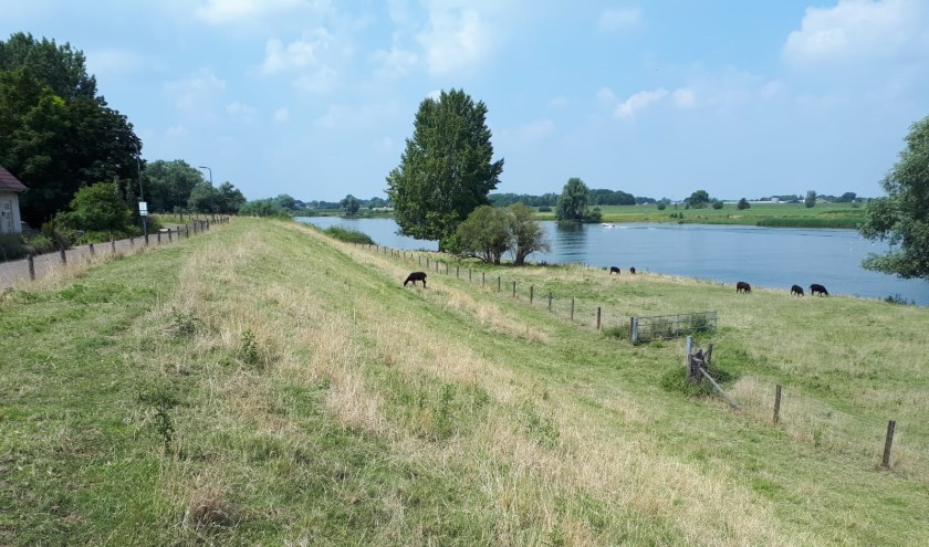 De Maasdijk.