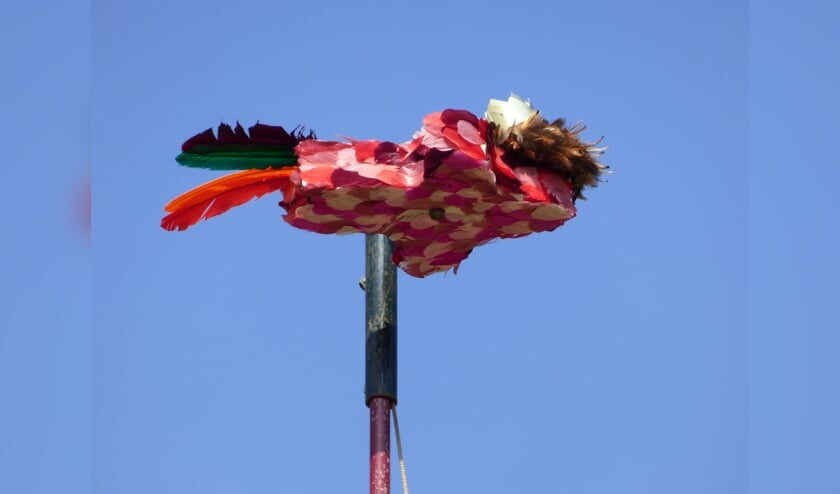 Wie schiet de gehele vogel naar beneden?