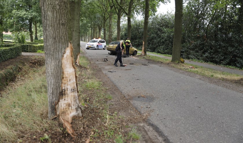 Automobilist botst op drie bomen naast Lactariaweg in Stevensbeek.