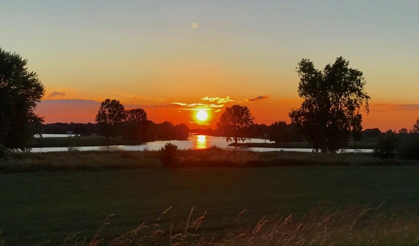 Foto van de week: Joep van der Plas