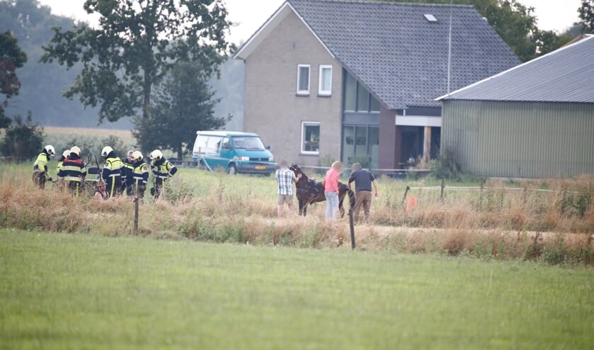 Brandweer bevrijdt paard uit sloot in Langenboom.