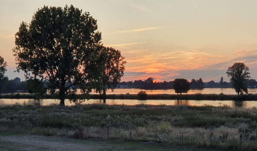 Foto van de week: Susanne Marcellis