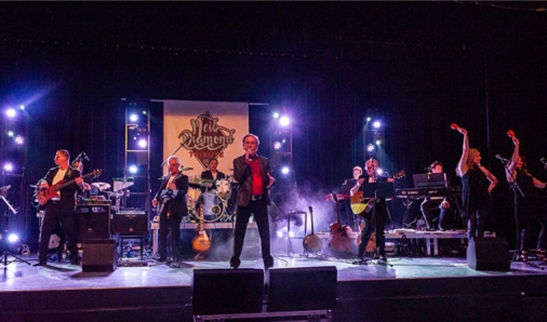 Neil Diamond Tribute Band komt terug op het podium van ter Aa