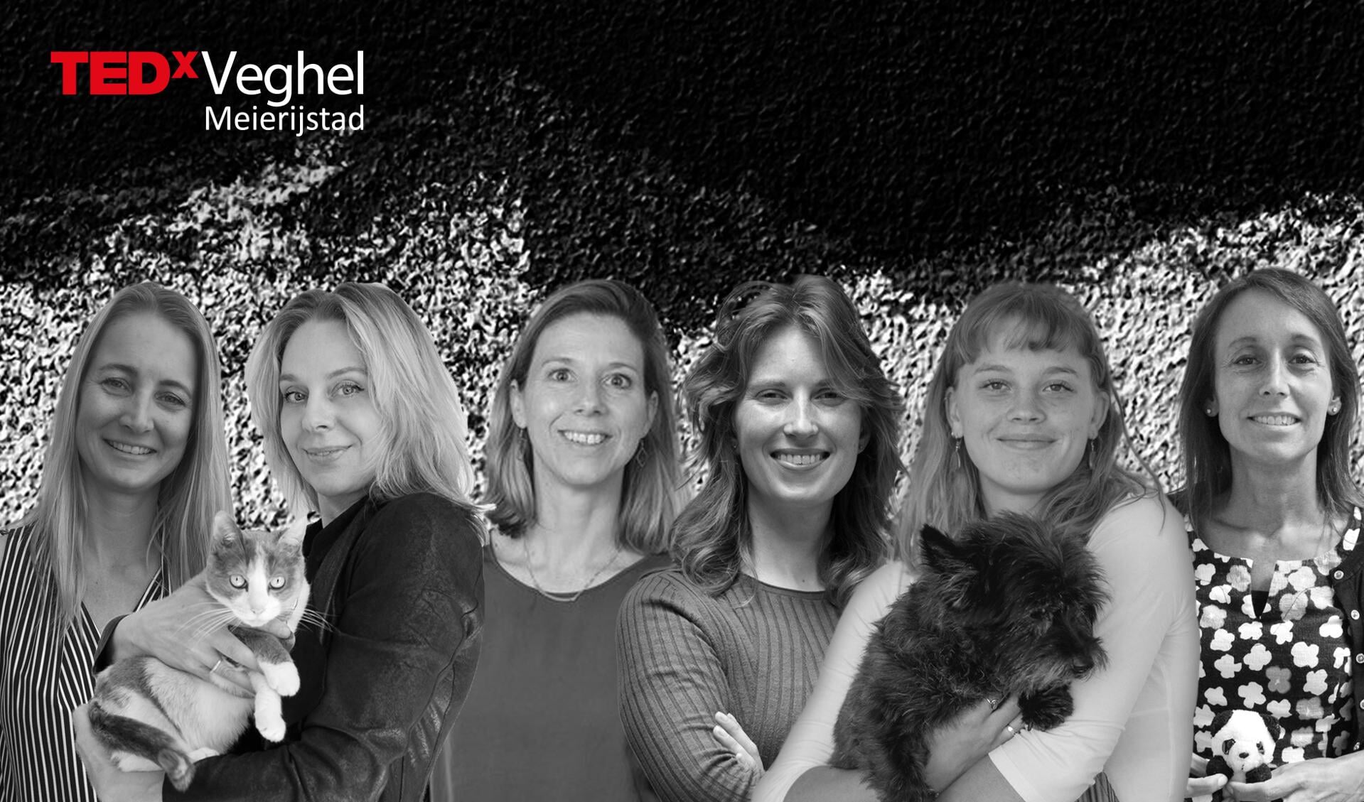 De zes vrouwen die spreken op TEDxVeghel. 