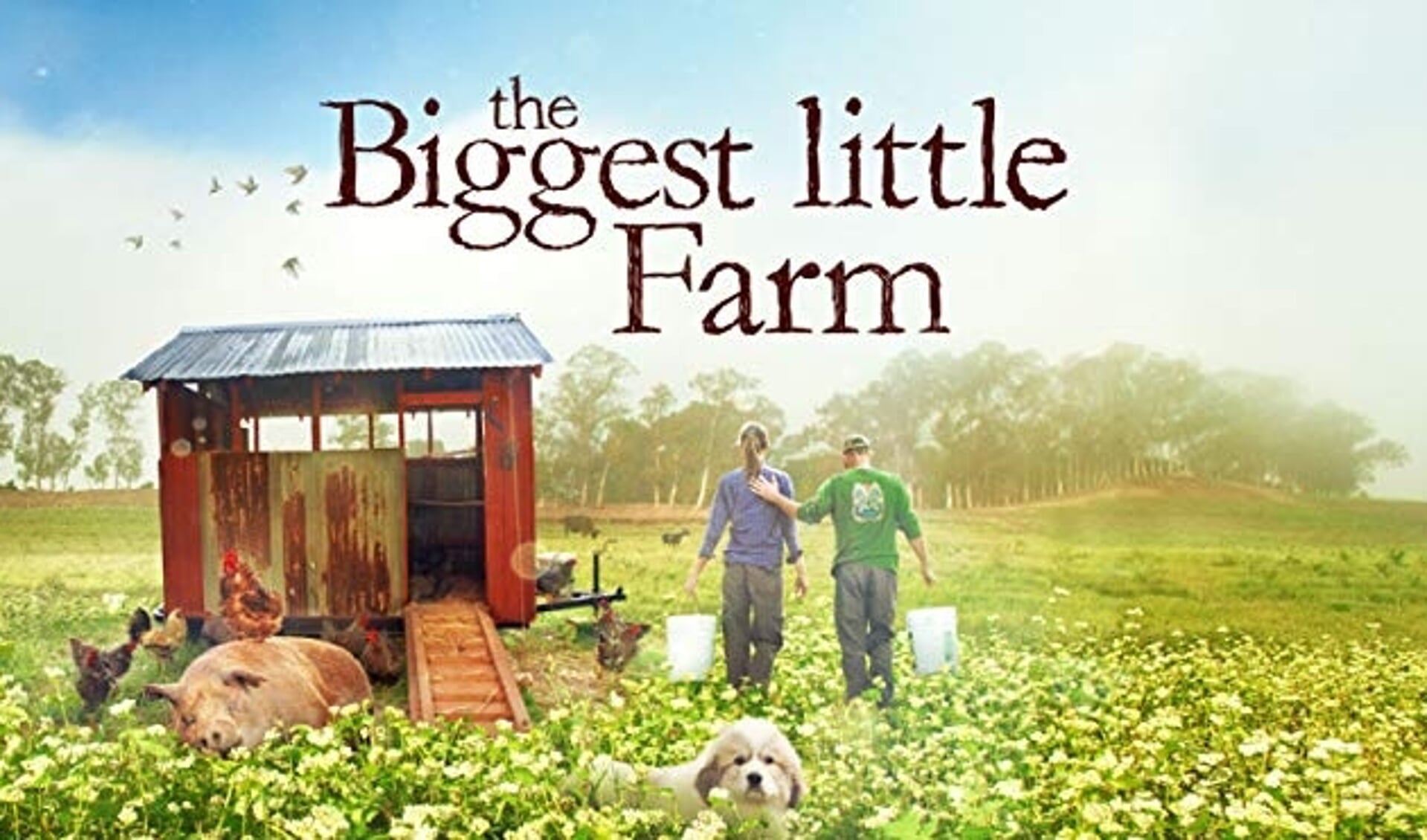 The Biggest Little Farm.