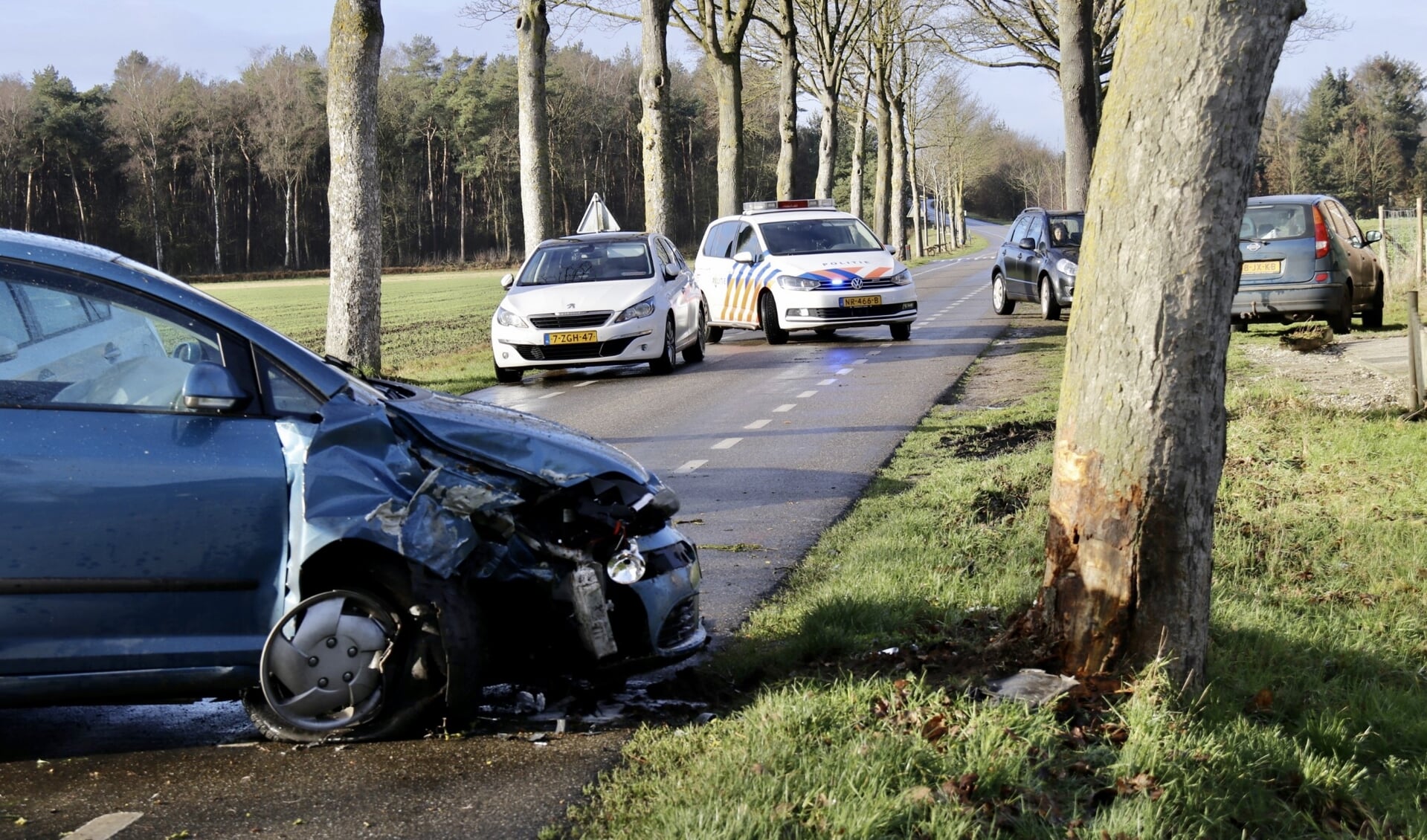 Man botst op boom in Holthees.