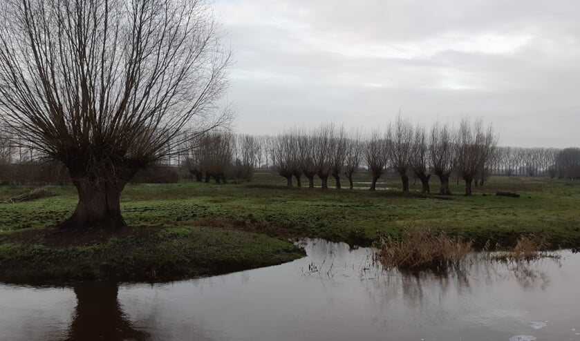 De tocht gaat van Veghel naar Sint-Oedenrode.