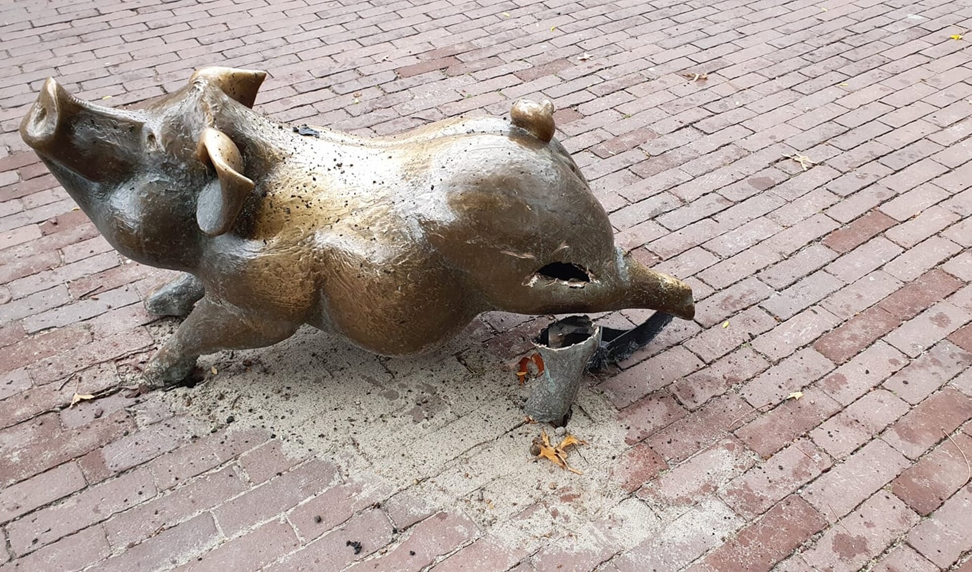 Het varken in het Osse centrum. (Foto: Jack van Lieshout, Twitter)