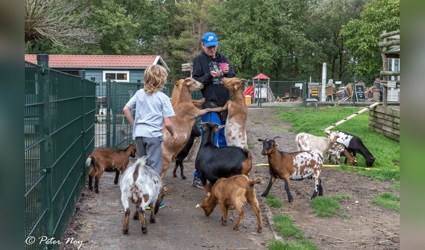 Krijgt de Cuijkse wijk Heeswijkse Kampen een kinderboerderij?