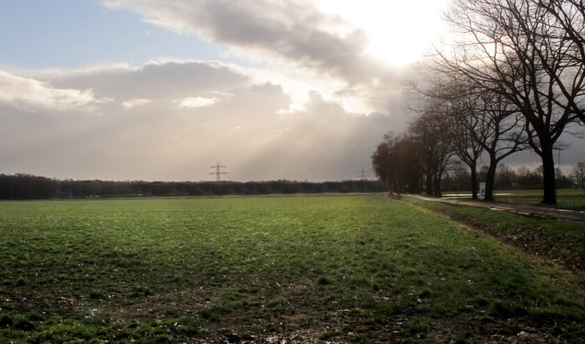 Beoogde locatie voor een zonnepark aan de Sambeeksedijk.