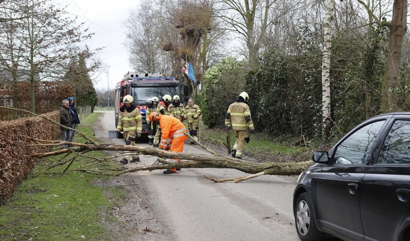 Boom valt over de weg in Vianen.