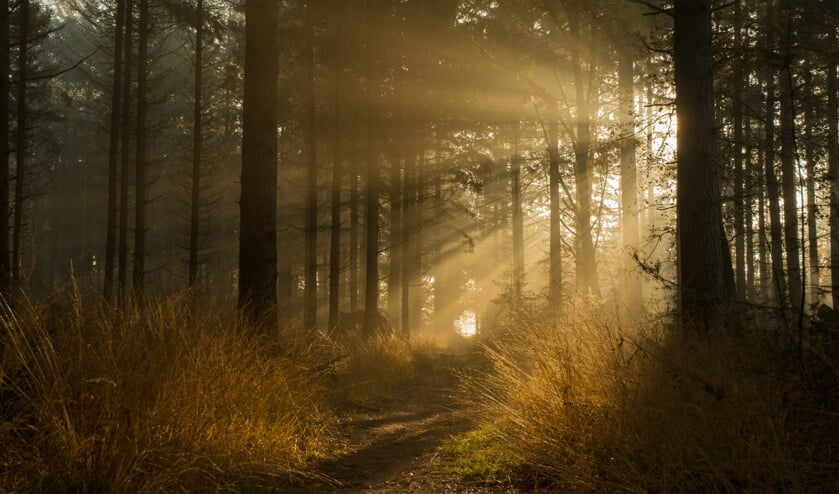 Eén les start vanaf zonsopkomst.