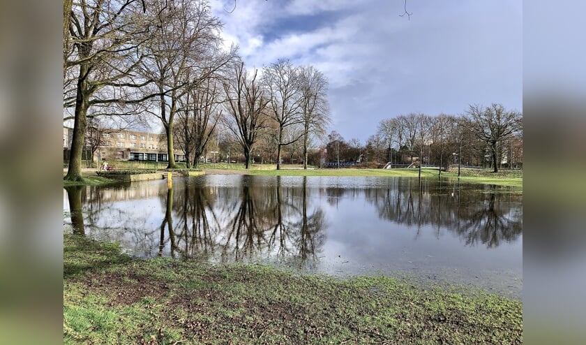 De nieuwe vijver in het Julianapark waar onder andere Veghel in Hout wordt gehouden.