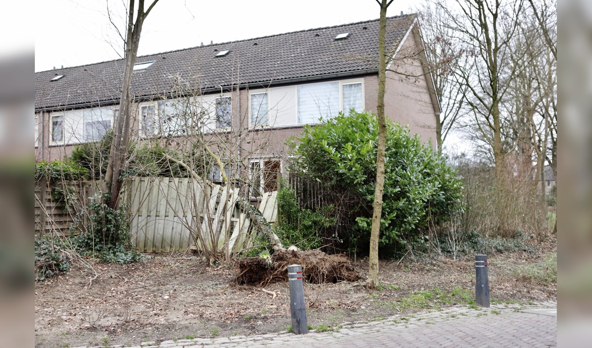 Een boom vernielde een schutting in Cuijk.